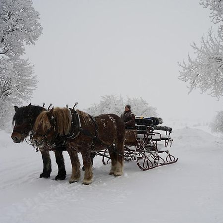 Fokhol Gard Gjestehus Stange Exterior foto
